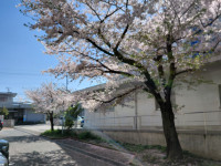 20260408_093938