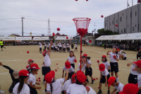 DSC00593