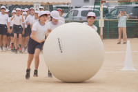DSC00731