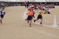 DSC00742