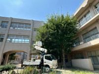 VUDQ9815