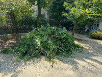 HVYC8540