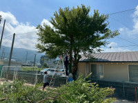 JEYP4852