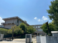 KTFV9421
