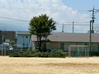 AOHF8547